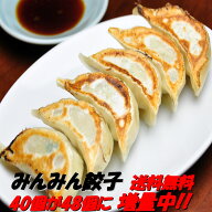 【送料無料】餃子専門店みんみんの餃子 48個 リピーター続出【餃子 ぎょうざ ギョーザ】富山より冷凍便で…