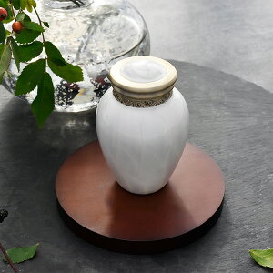 ~j p 茳{  p[ubVO zCgB ^J ~j   ~j   Ԃ  ⍜ RpNg 킢  q{ ~jTCY { 