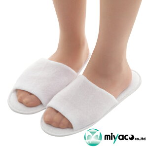 ze AjeB ĝăXbp  (jbg)Ɩp 50y撅 ő400~OFFN[|z