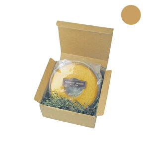 Mtg{bNX DBOX 2(ʃNtg)10