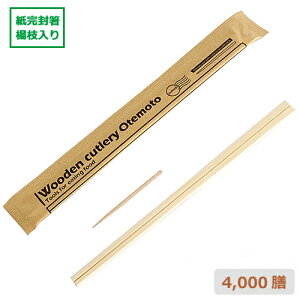 Ɩp 蔢 (N) k} 4000V