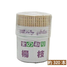 爪楊枝(容器入)No.40 360パック
