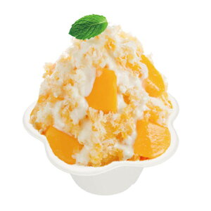 (oKX)~jt[Jbv WEA[X 800_XJbv_fU[gJbvy撅 ő400~OFFN[|z