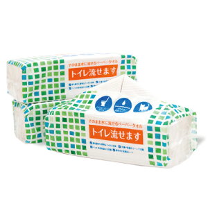 Ɩp y[p[^IugC܂v 100g×48