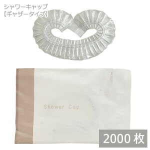 Ɩp ĝăV[Lbv/DEARLEAF/ MU[^Cvij2000 ze AjeBObY