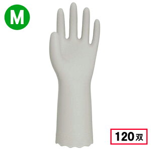 쐼H 2152 炩rj[  1P yMTCYz CgO[ 120o