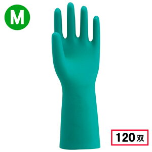 쐼H 2451 P~V[h 藠ѕt 1P yMTCYz O[ 120oy撅 ő400~OFFN[|z