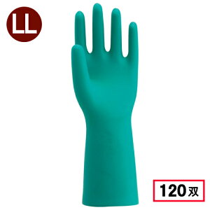 쐼H 2451 P~V[h 藠ѕt 1P yLLTCYzO[ 120o