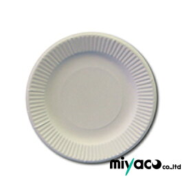 ペーパープレート(ホワイト) 23cm 1200枚