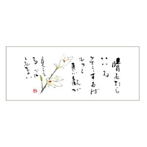 }bgV928(Ԃ)2000
