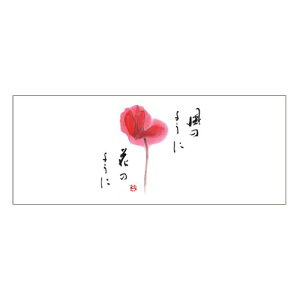 }bgV929(VN)2000