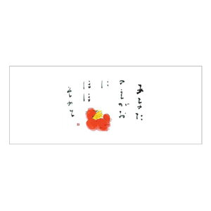 }bgV998()2000