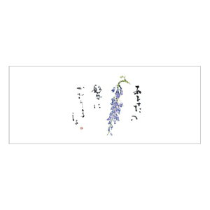 }bgV999(R)100