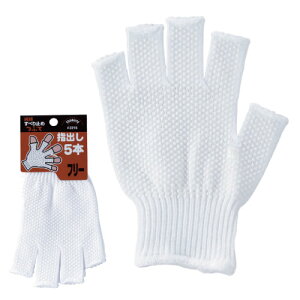 쐼H 2215 ԂĎwo5{ 1og 240oi1og×240jy撅 ő400~OFFN[|z