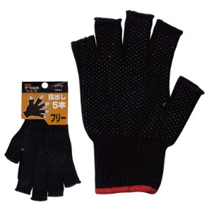 쐼H 2215 ԂĎwo5{ F 1og 240oi1og×240jy撅 ő400~OFFN[|z