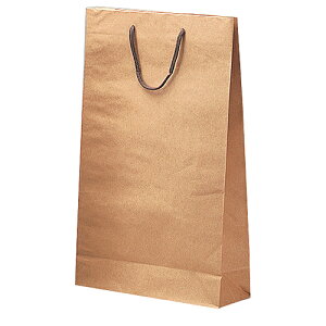 񂰎 ꏡr2{p 100(K-246)