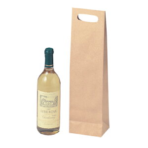 񂰎 茊tC 100(K-1020)