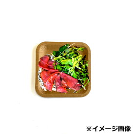 楽天市場 紙皿 カラーの通販