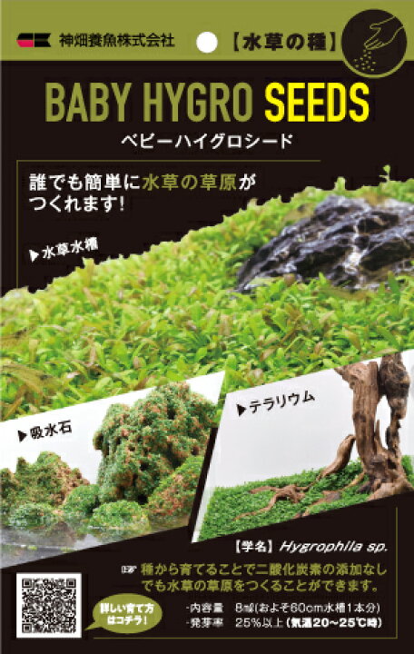 楽天市場 カミハタ 水草の種 ベビーハイグロシード 草原がこんなに簡単に 水草通販 イイ水草 楽天市場店