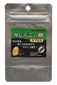 みじんこの卵　（1カプセル）　水に入れるだけでミジンコ誕生 送料無料