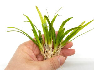 (jsO~[`F[ TW_Ai5{jvȑOi@_ rIg[v