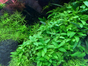 ijXgMlyXi3{jY _@Q@Zbg@ANAE _J  Mы