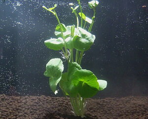 Y _ A}]`hOT 3{Zbg y Oi _J ANAE pi Mы z ȒPvȖ\I聟