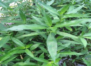 nCOtBE}[uNB[i2{jY_@Z^[vcɍœK