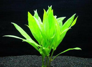 ij{[NnCOtBi3{) Y_ ^̃nCOtB