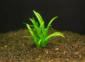 sO~[`F[@TW_Ai5{jvȑOi@Y_