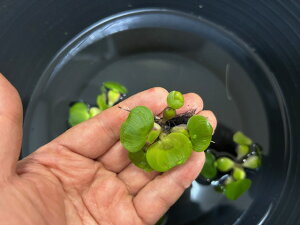 ij~jzeCAICi~jzeC\Eji10j_J@z~@ĕ@Ⴂ@~@@ԁ@傫@_