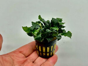 ijAkrAX@L~jitji1|bgj@@ĕ@@ANAE