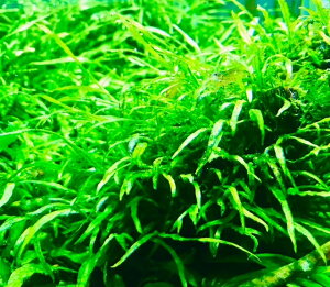 ~N\EEi[[ti20tj@_@CAEg@ĕ@@₵@