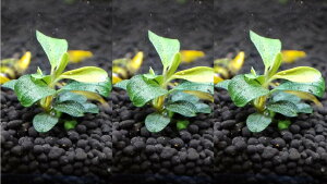 ijuZt@h@N_K@~jEh 3 yZbg _ _J ANAE  Mыz ȃ̂ꂢȃuZt@h