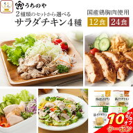 ＼ クーポン 配布中／ お中元 サラダチキン 常温 保存 うちのや 12食 24食 詰め合わせ セット 【 送料無…