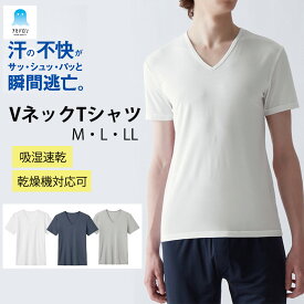 10％OFF 【ポイント5倍】グンゼ アセドロン 半袖 Vネック Tシャツ インナー メンズ 春夏 おすすめ 汗対策 吸汗 速乾 汗ムレ 汗 ムレ 防止 汗冷え 吸放湿 抗菌 防臭 春 夏 秋 下着 肌着 男性 紳士 オフィス 仕事 アセドロン GUNZE M L LL MCA615P