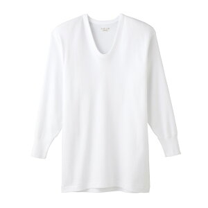 O[ KH[  U YCi[ Vc 100% RۖhL n tCX UlbN Vc jp  60 70 80 Mtg 蕨 OZ[   Ci[  GUNZE KQ3010 S-LL