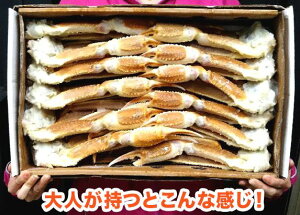 2025NVy10kIzyD㓀zNxEg蔲Q˂ɎIg炨͂܂Ńt[YI킢Ɋkt@ꂪ4L`5LTCY 10kg(20lOj5kŖ12-14