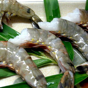 w킽ς̖ubN^CK[Gr500O@oŗⓀ@|݃vviTCY@13/15TCY)@yсzyubN^CK[zyGrzyGrVzyVvzyAq[