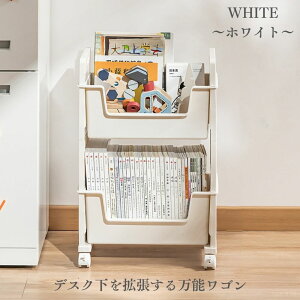 fXNS LX^[t X }KWbN TChS ȏ G  [ 2i  60cm