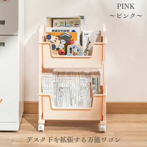 fXNS LX^[t X }KWbN TChS ȏ G  [ 2i  60cm