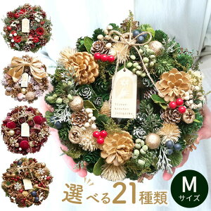 [X MTCY 2025  nEB H NX}X[X  v[g Mtg [X a O   t[[X i`[X A[gt[ hA Ǐ  h