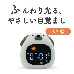 ڊo܂v q ̎q j̎q uv LN^[ Xk[Y 剹 v VR 킢 LbY A[NbN  qp 