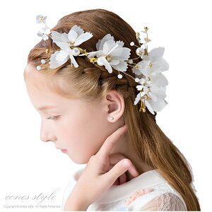 wAANZT[  sAm\ \  wbhhX Nbv wANbv q ̎q  zCgCXg[ p[  uC_ EGfBO ʐ^Be 3Z