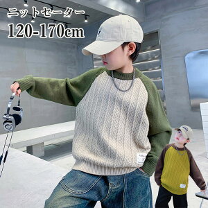 yԌSi10%OFFz؍q gbvX Z[^[ LbY jZbNX Z[^[ JWA h UlbN ۃlbN j̎q o ʊw IV lC qp jbg Z[^[ Sn