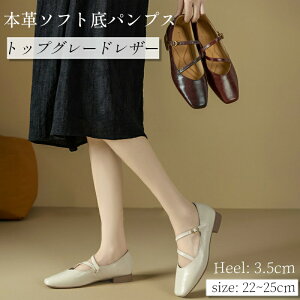 vC C pvX tbgq[ ؂ XNGAgD {v r gbvO[hV[vXL V[vXL ɂȂ _炩 ₷  y fB[X [q[ 3.5cm JW