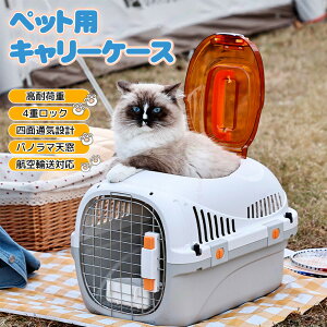 ybg L[ L Vt L[P[X ^pN[g ybgL[obO ybgL[P[X ʋC gȒP P[WAEg{bNX LsOL[ pnEX 