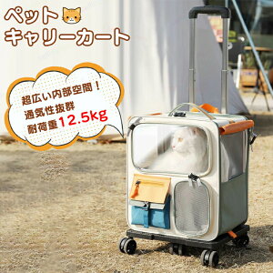 ybg L[obO LX^[t ܂肽 ybgJ[g L ^ bN J[g ybgobO L[bN L[J[g  ObY ybgL[   ^