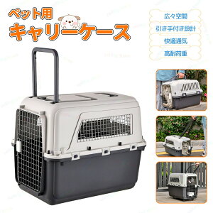 ybg L[ L[P[X pN[g ybgL[obO ybgL[P[X ʋC gȒP P[W AEg{bNX LsOL[ pnEX LX^[ o