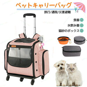 ybg L[obO LX^[t ܂肽 ybgJ[g L  bN J[g ybgobO L[bN L[J[g  ObY ybgL[   ^^ ^